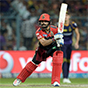 IPL Season - Starts 7 April